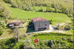 RESTORED COUNTRY HOUSE FOR SALE TUSCANY FORESTE CASENTINESI NATIONAL PARK