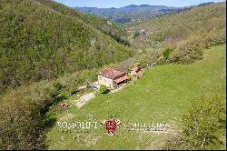 RESTORED COUNTRY HOUSE FOR SALE TUSCANY FORESTE CASENTINESI NATIONAL PARK