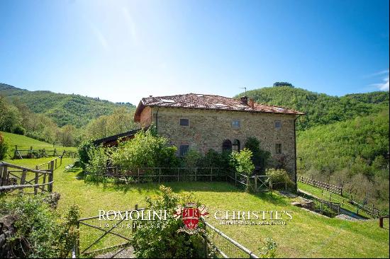 RESTORED COUNTRY HOUSE FOR SALE TUSCANY FORESTE CASENTINESI NATIONAL PARK