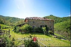 RESTORED COUNTRY HOUSE FOR SALE TUSCANY FORESTE CASENTINESI NATIONAL PARK