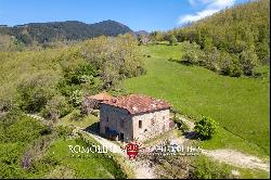 RESTORED COUNTRY HOUSE FOR SALE TUSCANY FORESTE CASENTINESI NATIONAL PARK