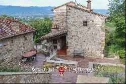 SMALL ESTATE WITH VINEYARD FOR SALE IN TUSCANY, ANGHIARI | Romolini - Christie's