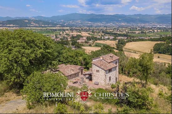 SMALL ESTATE WITH VINEYARD FOR SALE IN TUSCANY, ANGHIARI | Romolini - Christie's