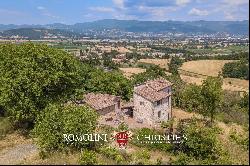 SMALL ESTATE WITH VINEYARD FOR SALE IN TUSCANY, ANGHIARI | Romolini - Christie's