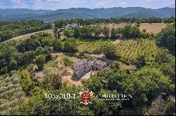 SMALL ESTATE WITH VINEYARD FOR SALE IN TUSCANY, ANGHIARI | Romolini - Christie's