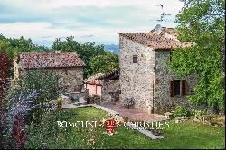 SMALL ESTATE WITH VINEYARD FOR SALE IN TUSCANY, ANGHIARI | Romolini - Christie's