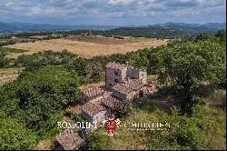 SMALL ESTATE WITH VINEYARD FOR SALE IN TUSCANY, ANGHIARI | Romolini - Christie's