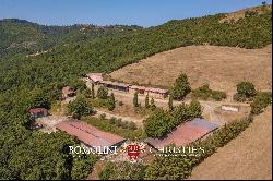 FARMSTEAD FOR SALE IN TUSCANY - BOVINE BREEDING, HORSES