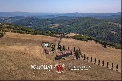 FARMSTEAD FOR SALE IN TUSCANY - BOVINE BREEDING, HORSES