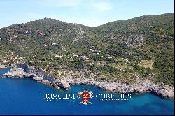 WATERFRONT COASTAL WINE ESTATE, VILLAS SEA ACCESS FOR SALE ARGENTARIO TUSCANY