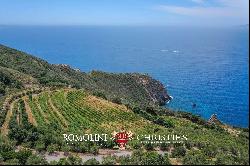 WATERFRONT COASTAL WINE ESTATE, VILLAS SEA ACCESS FOR SALE ARGENTARIO TUSCANY