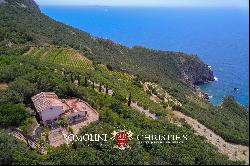 WATERFRONT COASTAL WINE ESTATE, VILLAS SEA ACCESS FOR SALE ARGENTARIO TUSCANY