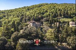 HISTORIC VILLA FOR SALE IN CITTÀ DI CASTELLO, UMBRIA