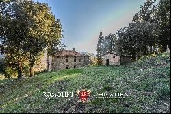 HISTORIC VILLA FOR SALE IN CITTÀ DI CASTELLO, UMBRIA