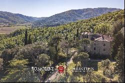 HISTORIC VILLA FOR SALE IN CITTÀ DI CASTELLO, UMBRIA