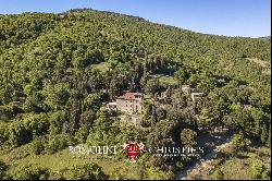 HISTORIC VILLA FOR SALE IN CITTÀ DI CASTELLO, UMBRIA