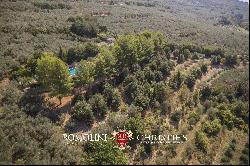 MODERN VILLA WITH OLIVE GROVE FOR SALE UMBRIA ASSISI