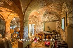 AWARD-WINNING BOUTIQUE WINERY FOR SALE IN EMILIA-ROMAGNA, ITALY