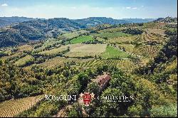 AWARD-WINNING BOUTIQUE WINERY FOR SALE IN EMILIA-ROMAGNA, ITALY