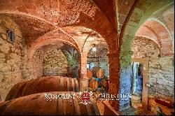 AWARD-WINNING BOUTIQUE WINERY FOR SALE IN EMILIA-ROMAGNA, ITALY