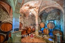 AWARD-WINNING BOUTIQUE WINERY FOR SALE IN EMILIA-ROMAGNA, ITALY