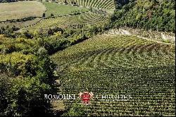 AWARD-WINNING BOUTIQUE WINERY FOR SALE IN EMILIA-ROMAGNA, ITALY