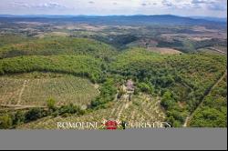 ORGANIC ESTATE FOR SALE IN CHIANTI, TUSCANY ITALY