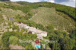 ORGANIC ESTATE FOR SALE IN CHIANTI, TUSCANY ITALY