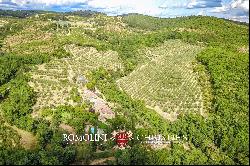 ORGANIC ESTATE FOR SALE IN CHIANTI, TUSCANY ITALY