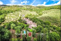 ORGANIC ESTATE FOR SALE IN CHIANTI, TUSCANY ITALY