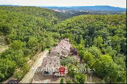 ORGANIC ESTATE FOR SALE IN CHIANTI, TUSCANY ITALY