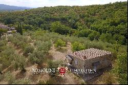 ORGANIC ESTATE FOR SALE IN CHIANTI, TUSCANY ITALY