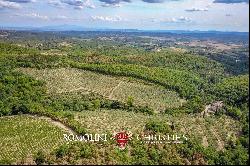 ORGANIC ESTATE FOR SALE IN CHIANTI, TUSCANY ITALY