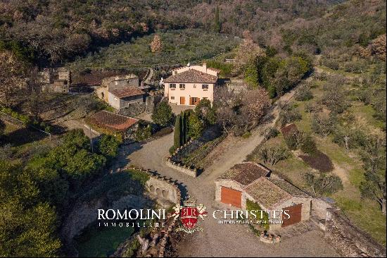 VILLA WITH OLIVE GROVE FOR SALE IN CASTIGLION FIORENTINO, TUSCANY