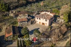 VILLA WITH OLIVE GROVE FOR SALE IN CASTIGLION FIORENTINO, TUSCANY