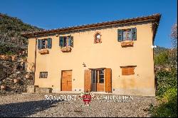 VILLA WITH OLIVE GROVE FOR SALE IN CASTIGLION FIORENTINO, TUSCANY