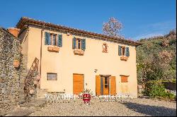 VILLA WITH OLIVE GROVE FOR SALE IN CASTIGLION FIORENTINO, TUSCANY