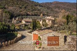 VILLA WITH OLIVE GROVE FOR SALE IN CASTIGLION FIORENTINO, TUSCANY