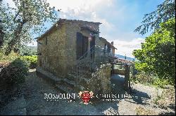 RUSTIC COUNTRY HOUSE FOR SALE IN LORO CIUFFENNA, TUSCANY