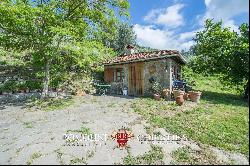 RUSTIC COUNTRY HOUSE FOR SALE IN LORO CIUFFENNA, TUSCANY