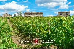 ESTATE WITH TWO HAMLETS FOR SALE NEAR AREZZO, TUSCANY