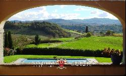 LEOPOLDINA WITH POOL FOR SALE, VALDARNO, TUSCANY