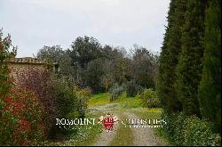 LEOPOLDINA WITH POOL FOR SALE, VALDARNO, TUSCANY