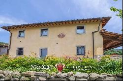 FLORENCE: AGRITURISMO WITH POOL AND OLIVE GROVE, TUSCANY