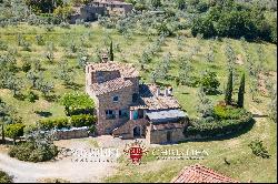 ECO-FRIENDLY FARMHOUSE WITH GARDEN AND OLIVE GROVE FOR SALE TUSCANY