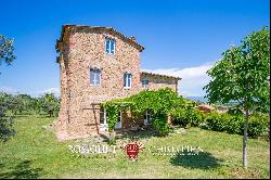 ECO-FRIENDLY FARMHOUSE WITH GARDEN AND OLIVE GROVE FOR SALE TUSCANY