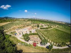 BEAUTIFUL WINE RESORT FOR SALE IN TUSCANY, SIENA, STATE OF THE ART WINERY, 25 HECTARES OF