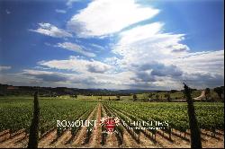 BEAUTIFUL WINE RESORT FOR SALE IN TUSCANY, SIENA, STATE OF THE ART WINERY, 25 HECTARES OF