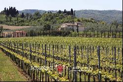 BEAUTIFUL WINE RESORT FOR SALE IN TUSCANY, SIENA, STATE OF THE ART WINERY, 25 HECTARES OF