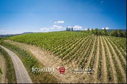 BEAUTIFUL WINE RESORT FOR SALE IN TUSCANY, SIENA, STATE OF THE ART WINERY, 25 HECTARES OF